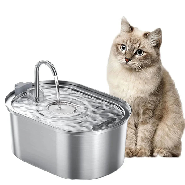 Katzen Produkte