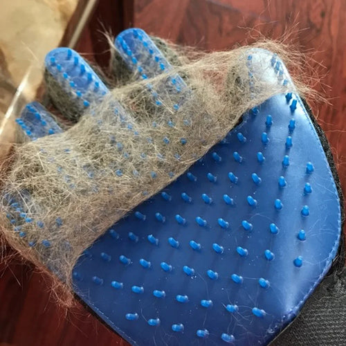 Fellpflege-Handschuh 🐱🧤✨